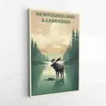 Newfoundland And Labrador Moose Canvas