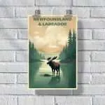 Newfoundland And Labrador Moose Poster