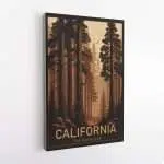 California The Redwoods Canvas