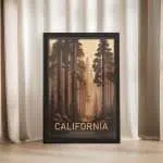 California The Redwoods Framed Poster