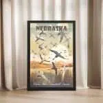 Nebraska Platte River Sandhill Cranes Framed Poster