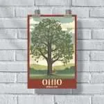 Ohio Buckeye State Poster