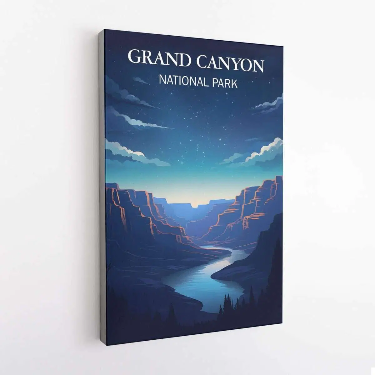 Grand Canyon Desert Starlit Night Canvas