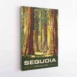 Sequoia National Park Giant Guardian Canvas UnitedWorldMemories