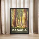 Sequoia National Park Giant Guardian Framed Poster UnitedWorldMemories