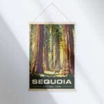 Sequoia National Park Giant Guardian Hanger Poster UnitedWorldMemories