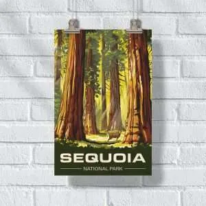 Sequoia National Park Giant Guardian Poster UnitedWorldMemories